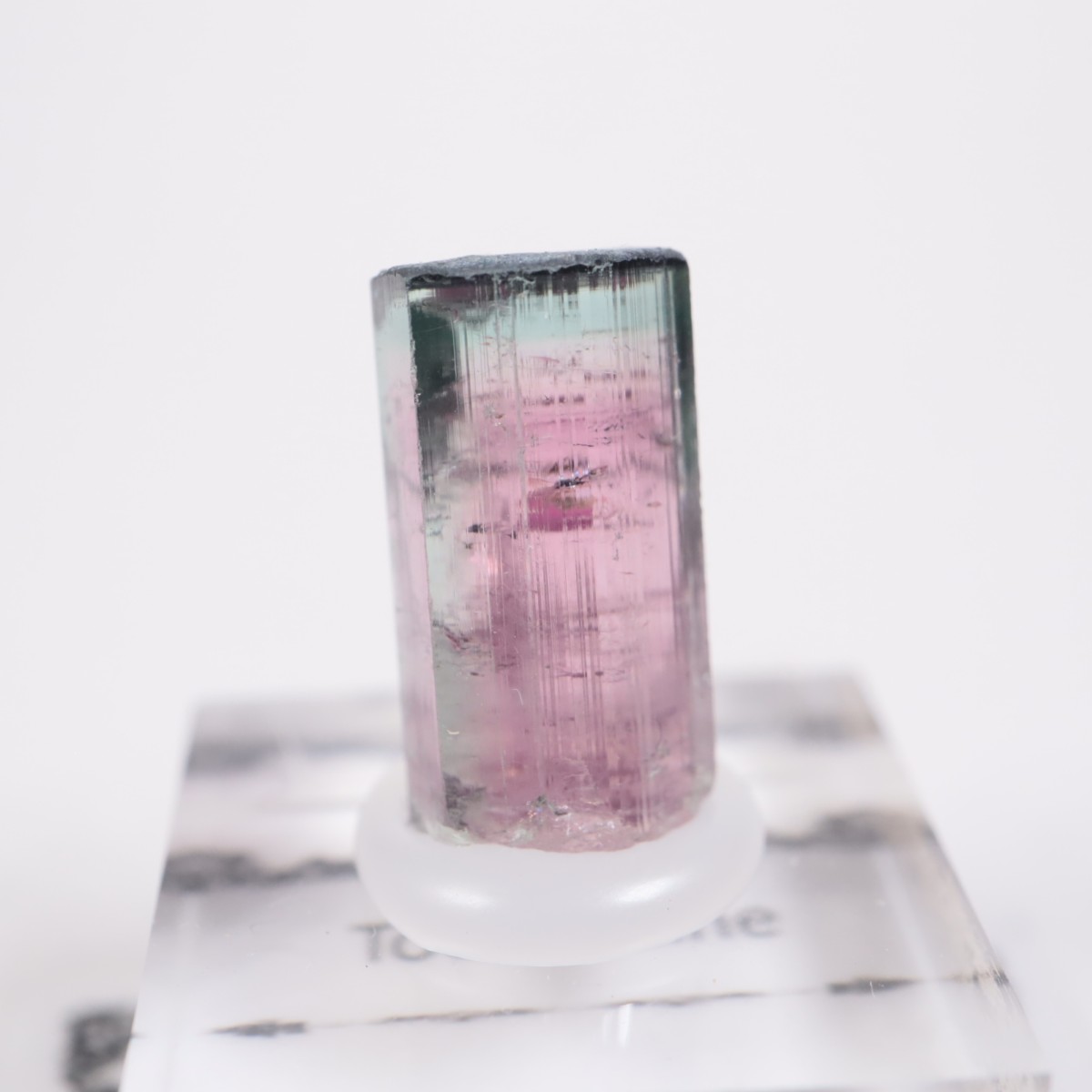 Coronel Murta�� �ȥ�ޥ��