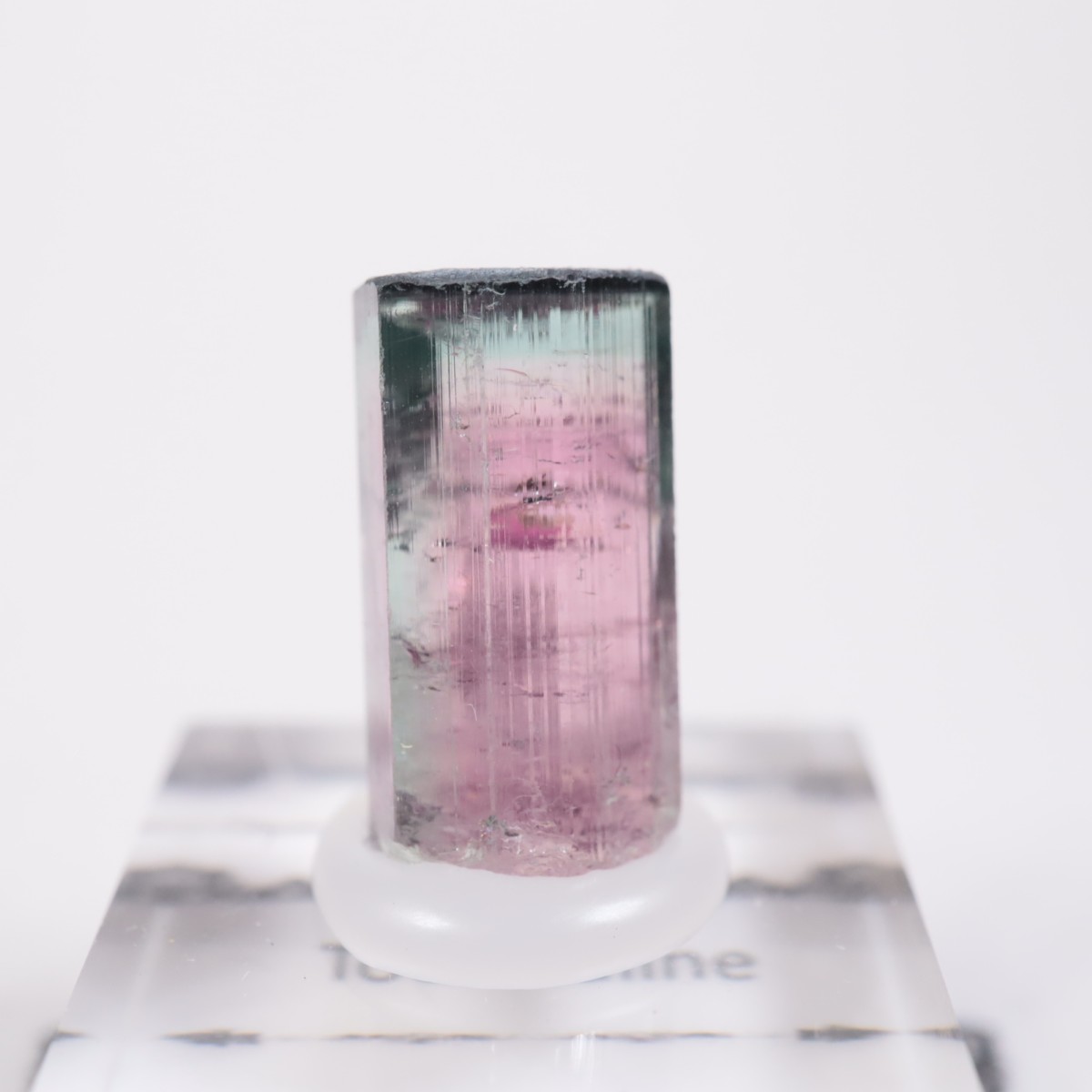 Coronel Murta�� �ȥ�ޥ��