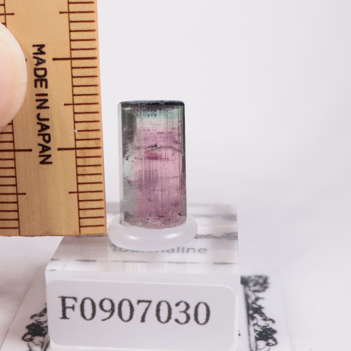 Coronel Murta�� �ȥ�ޥ��