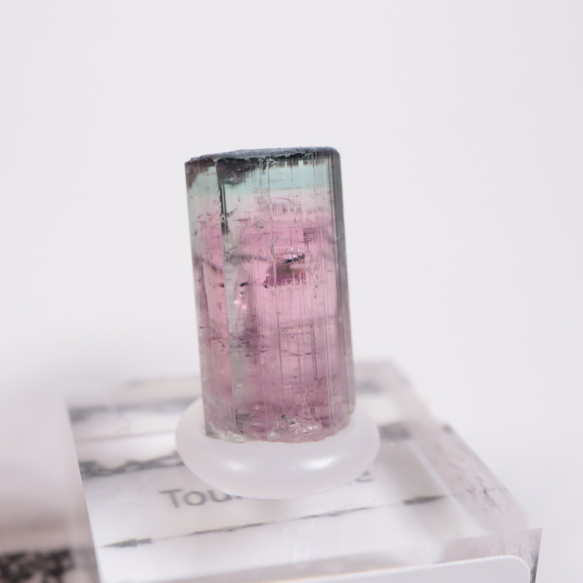 Coronel Murta�� �ȥ�ޥ��