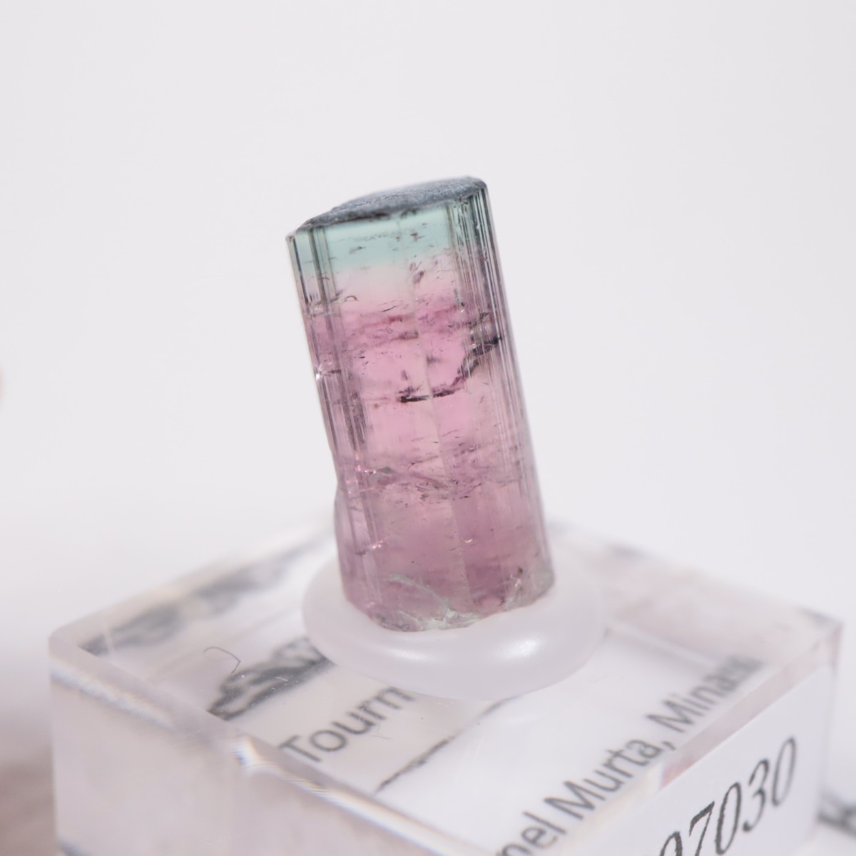 Coronel Murta�� �ȥ�ޥ��