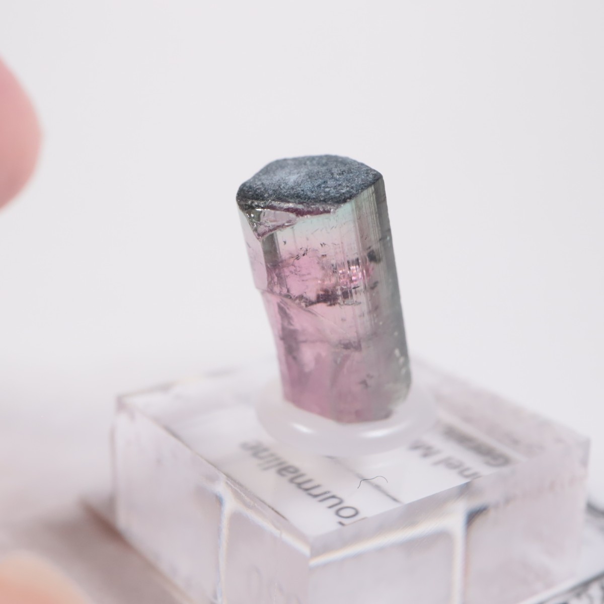 Coronel Murta�� �ȥ�ޥ��