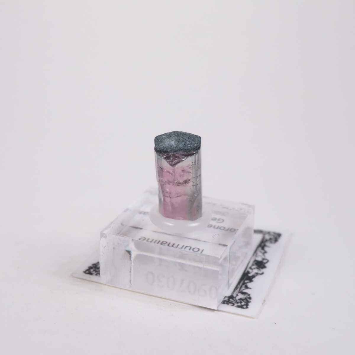 Coronel Murta�� �ȥ�ޥ��