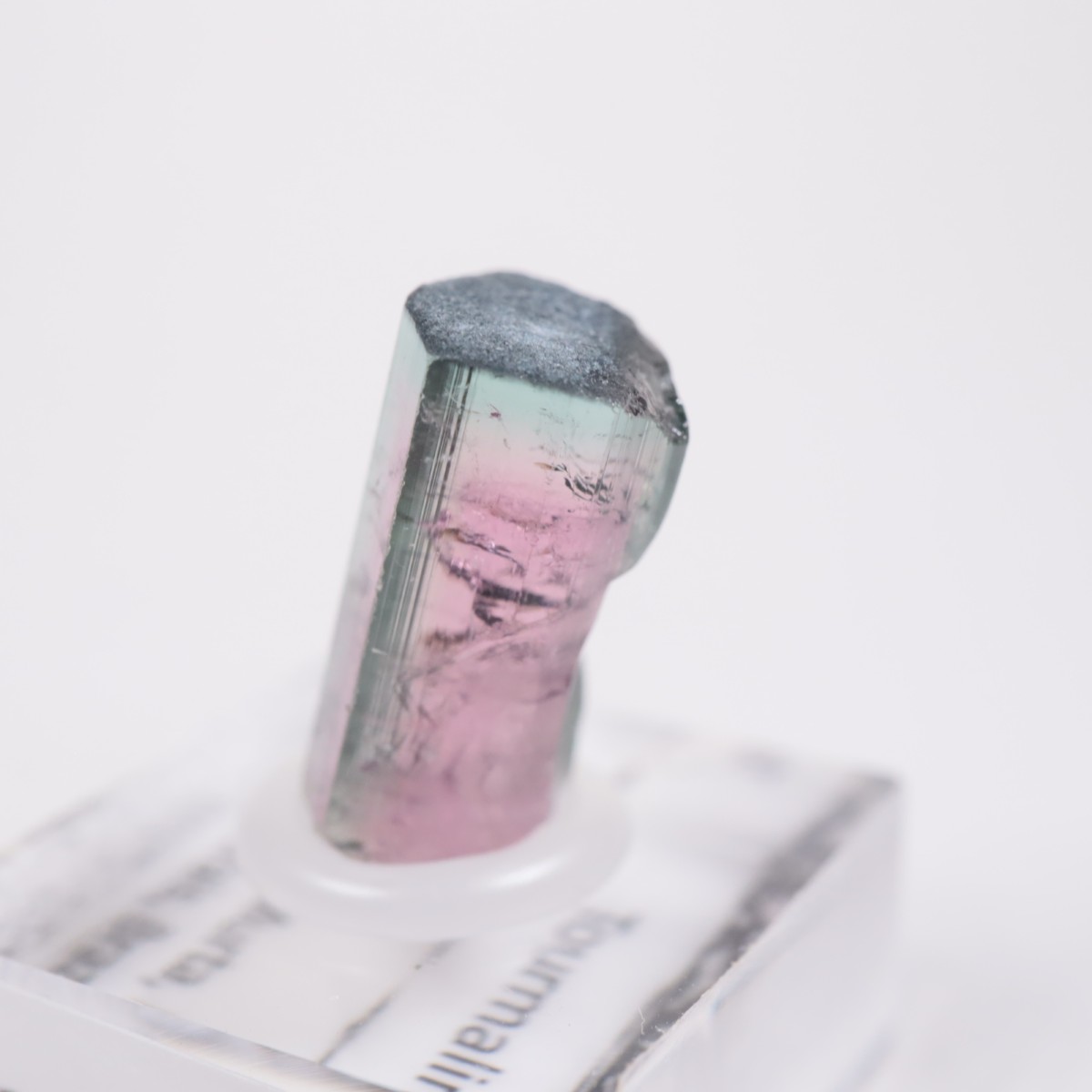 Coronel Murta�� �ȥ�ޥ��