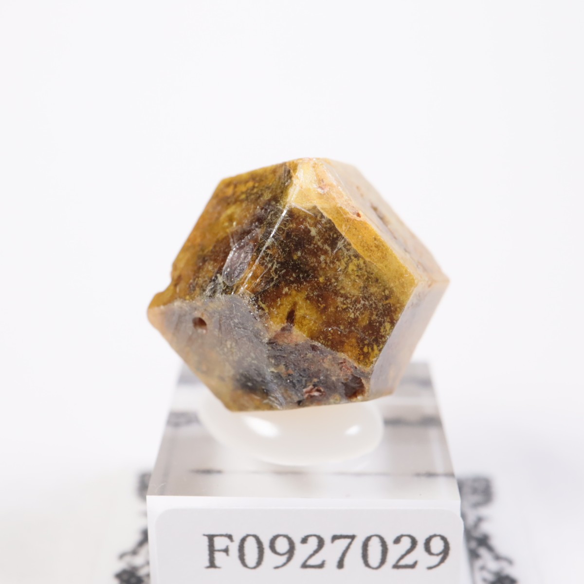 �ޥ껺 �����ͥå�