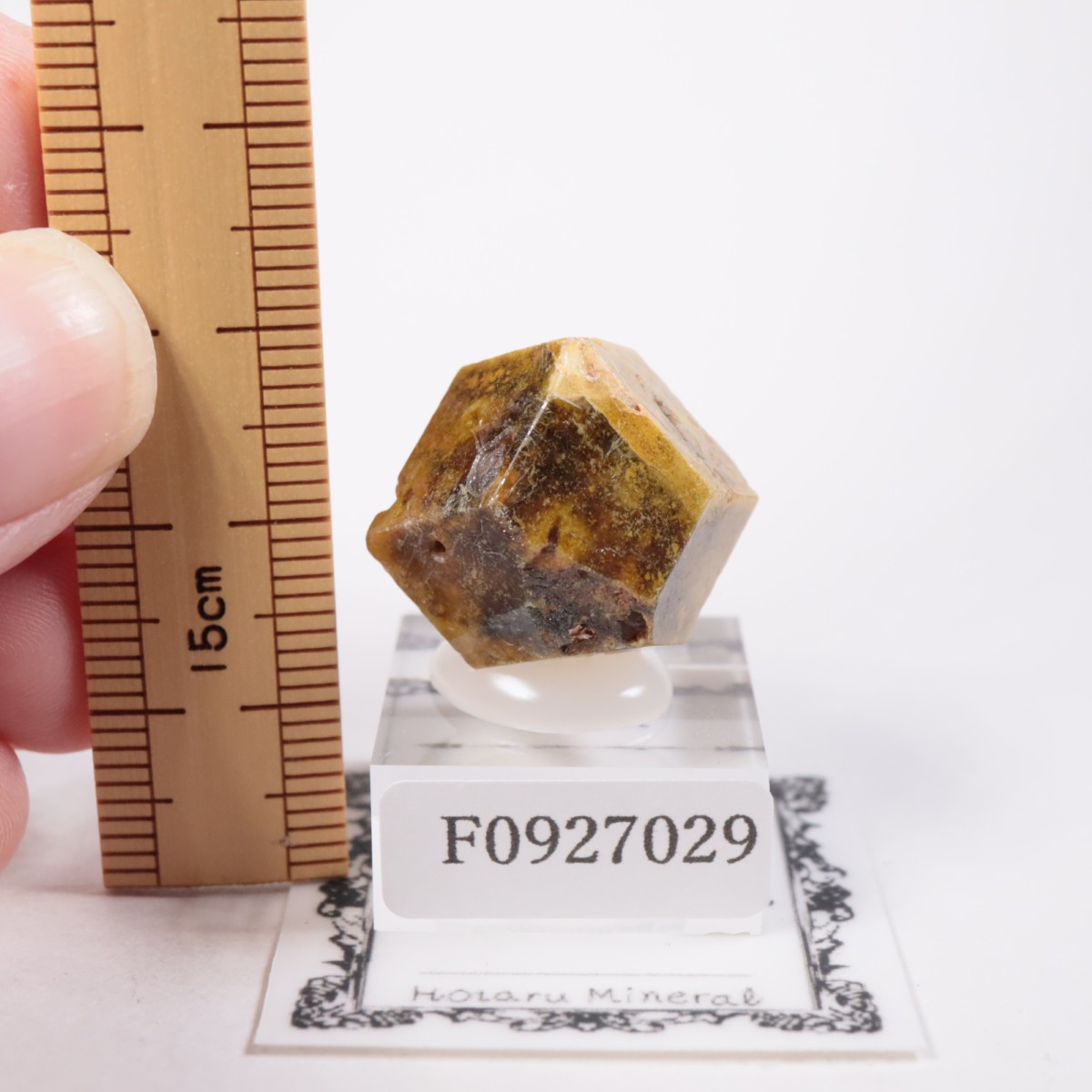 �ޥ껺 �����ͥå�