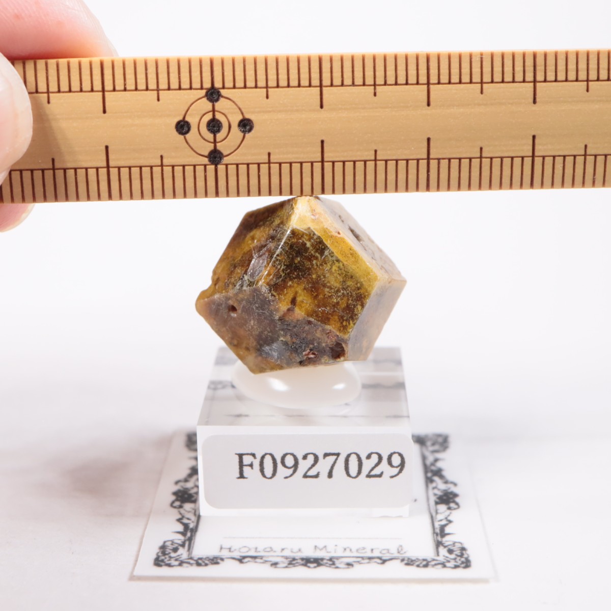 �ޥ껺 �����ͥå�