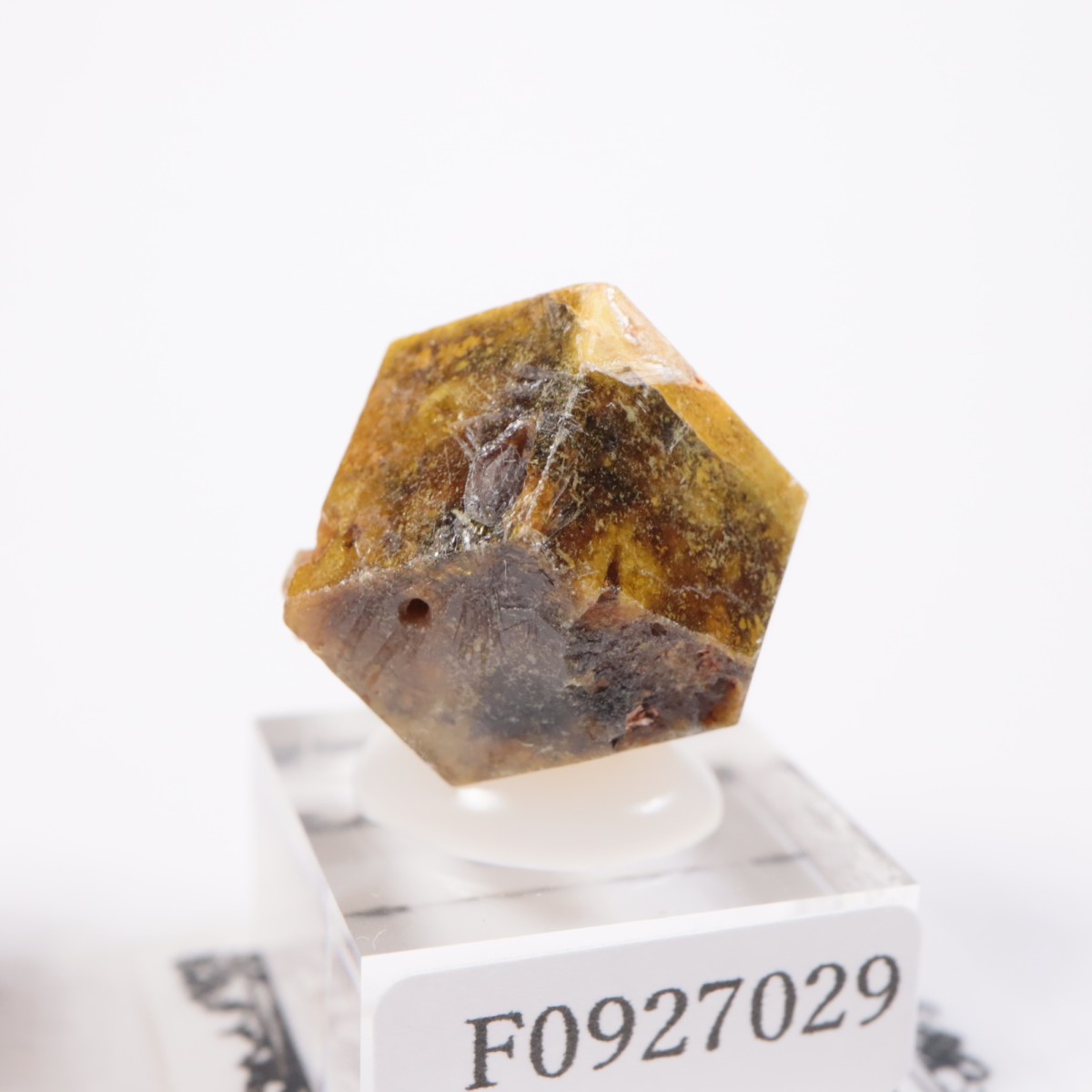 �ޥ껺 �����ͥå�