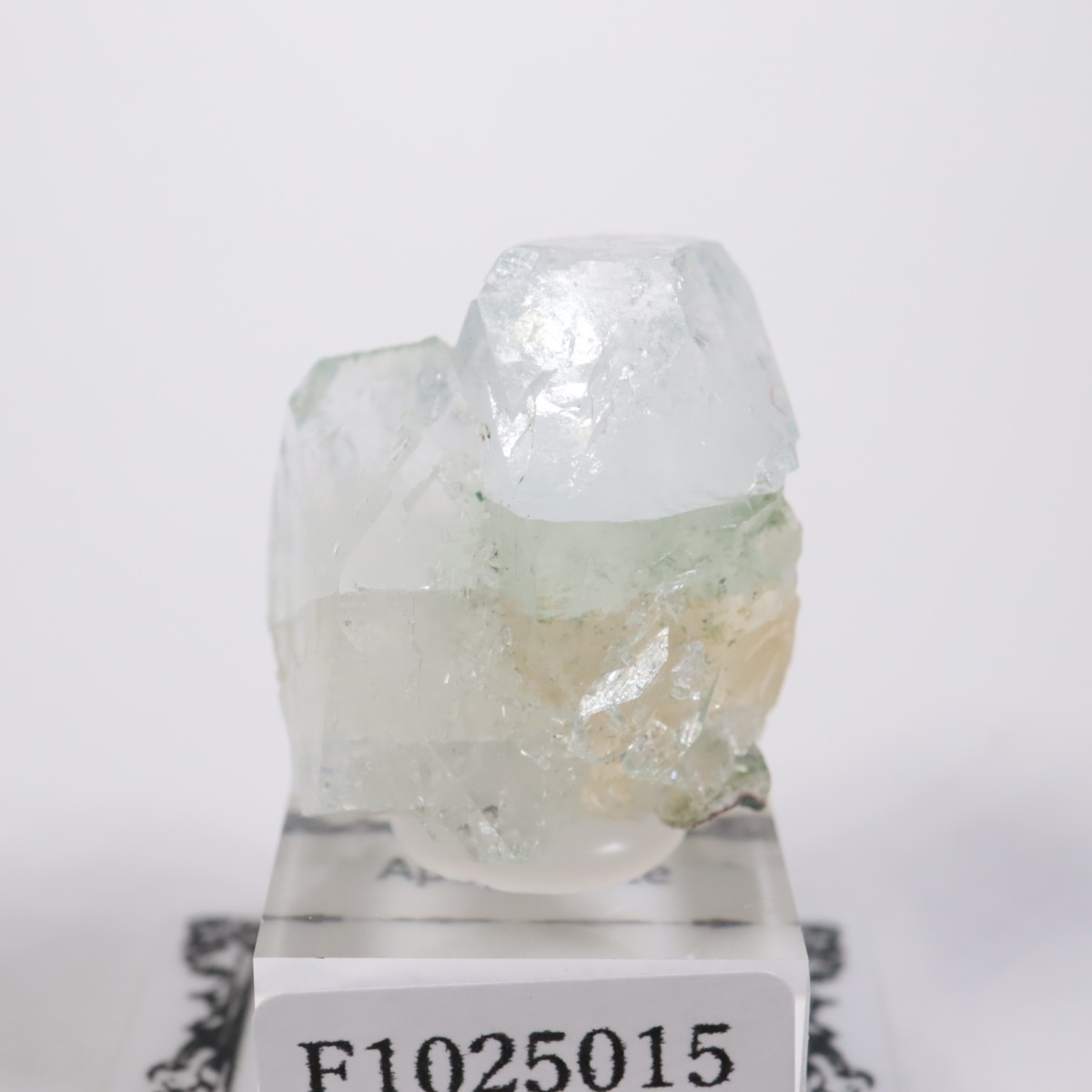 ����ɻ� ���ݥե��饤��