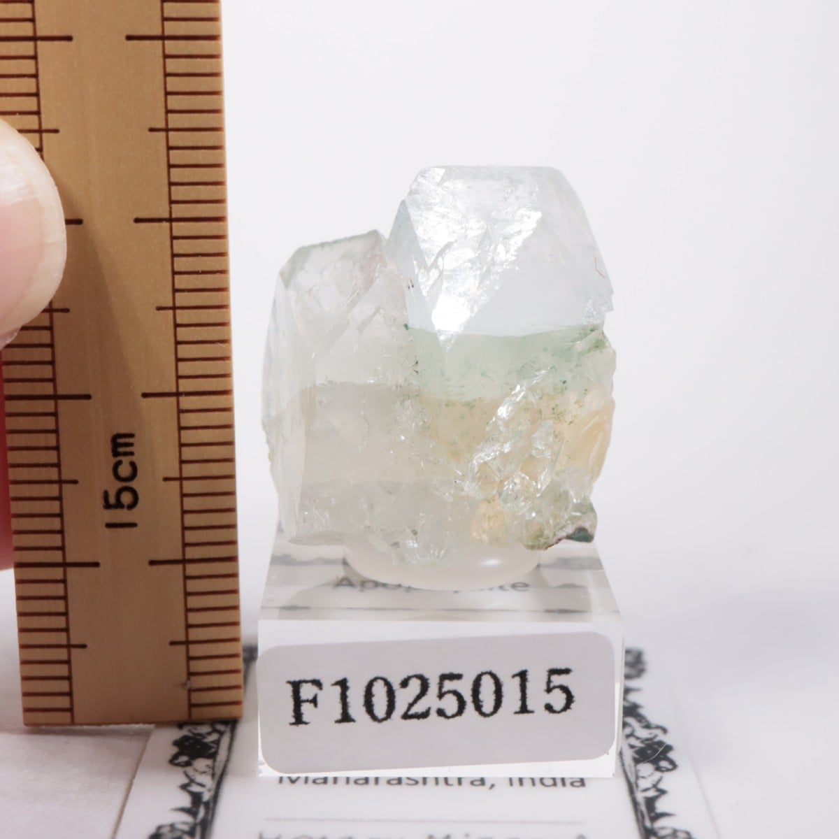 ����ɻ� ���ݥե��饤��