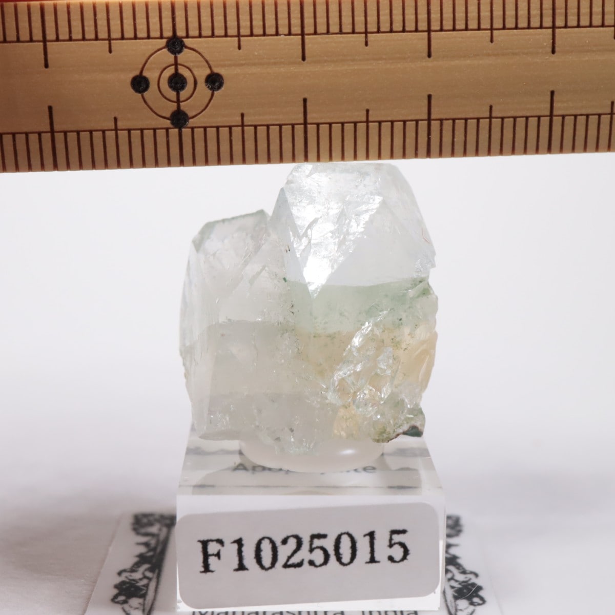 ����ɻ� ���ݥե��饤��