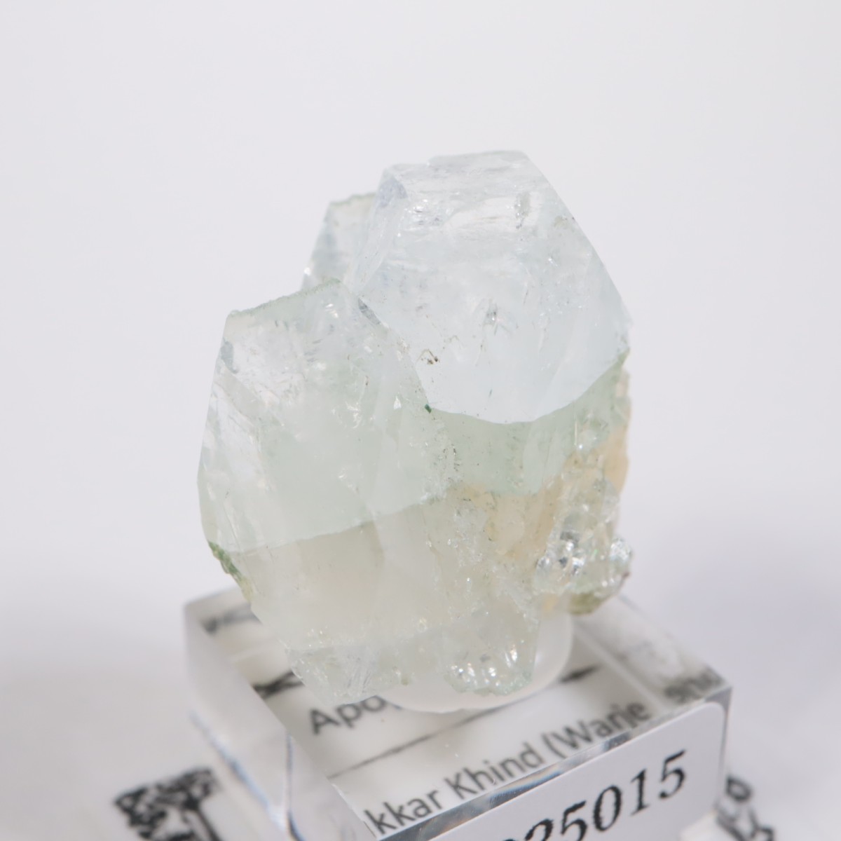 ����ɻ� ���ݥե��饤��