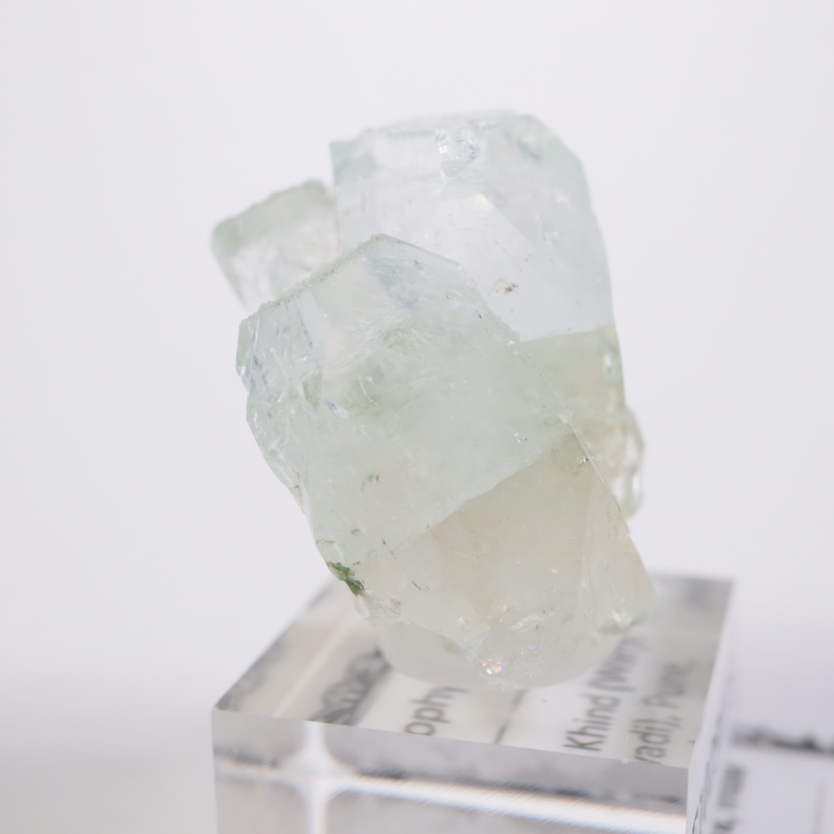 ����ɻ� ���ݥե��饤��