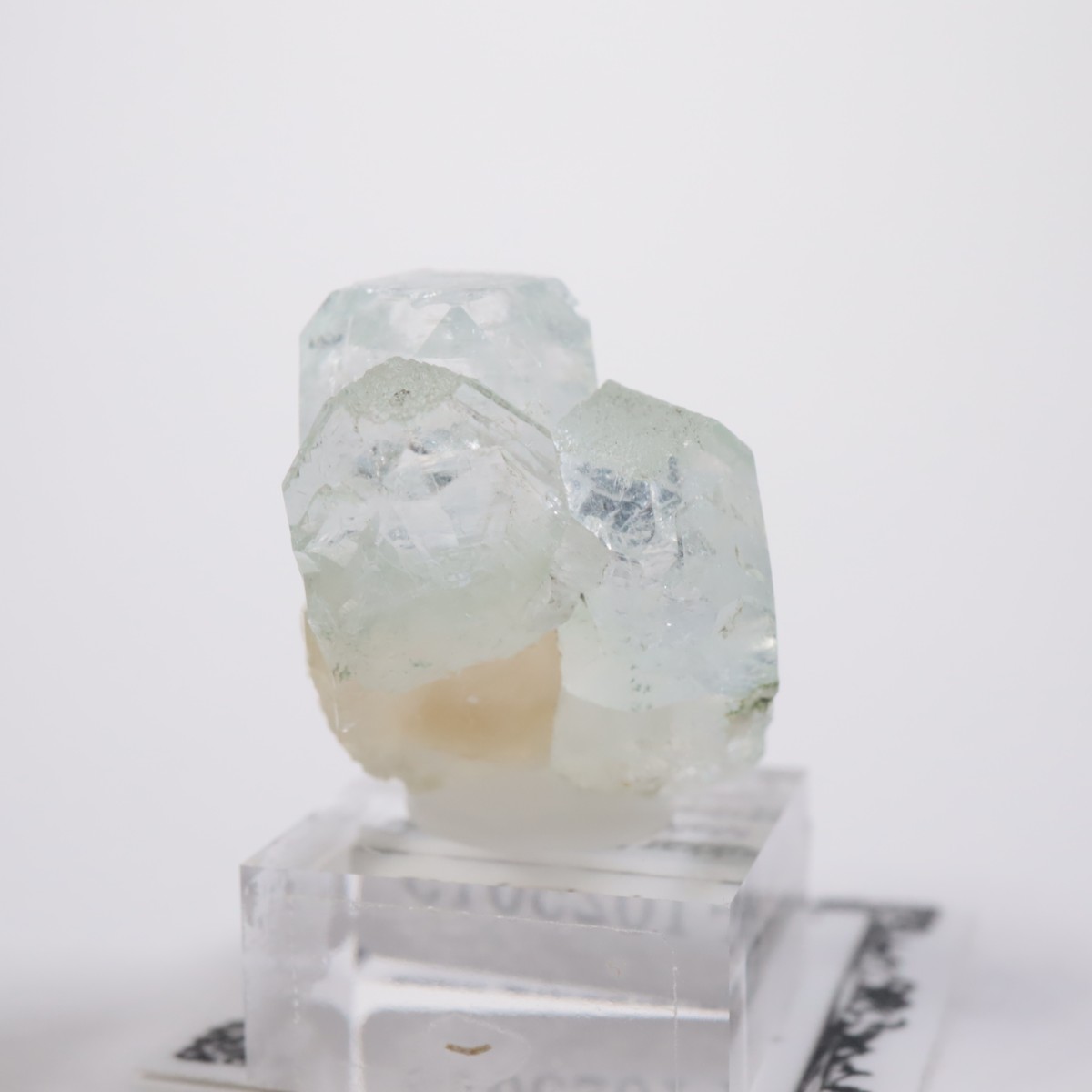 ����ɻ� ���ݥե��饤��