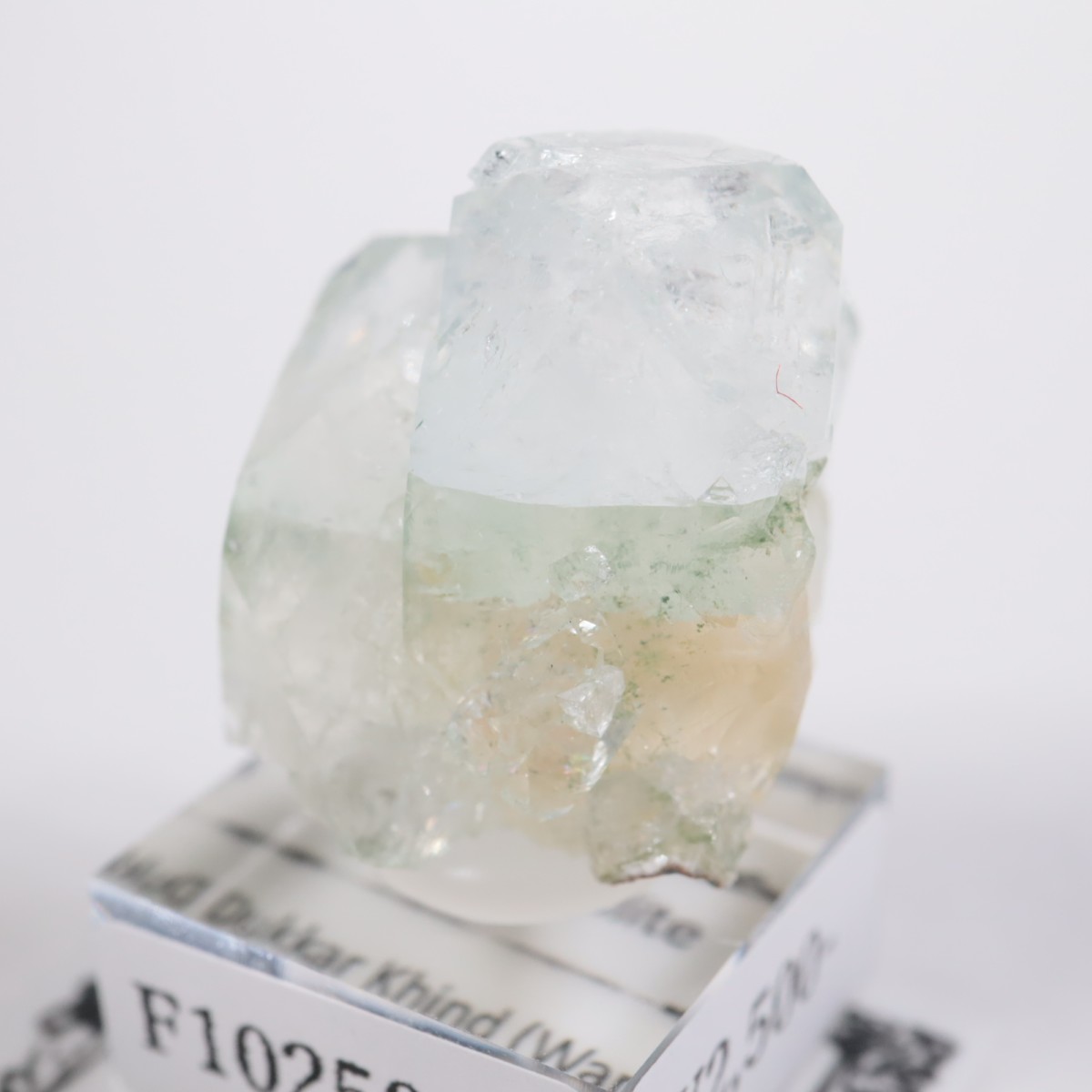 ����ɻ� ���ݥե��饤��