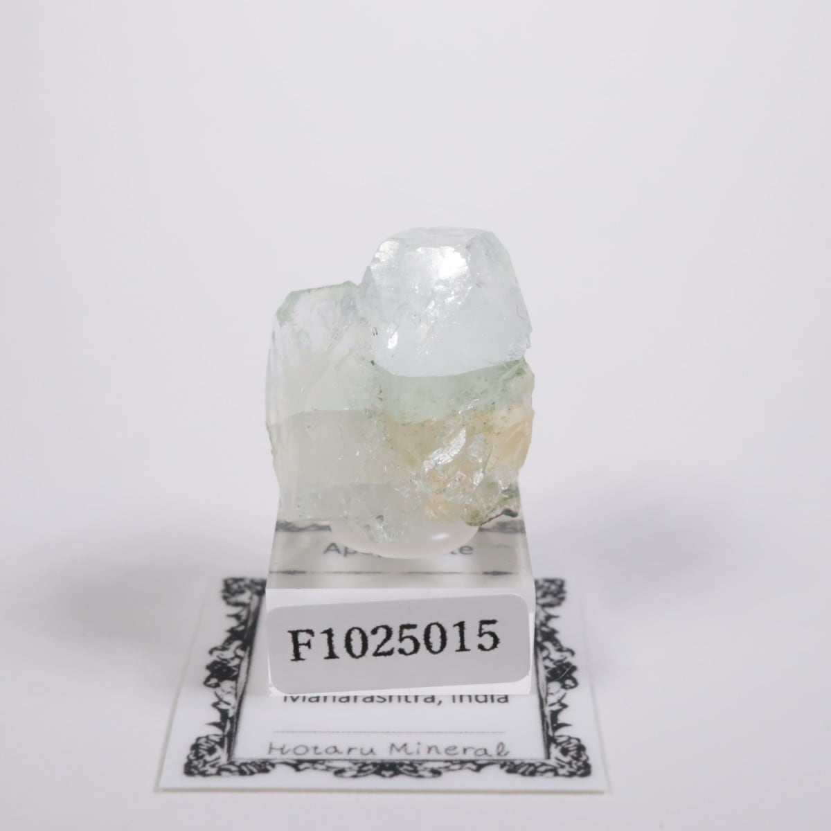 ����ɻ� ���ݥե��饤��