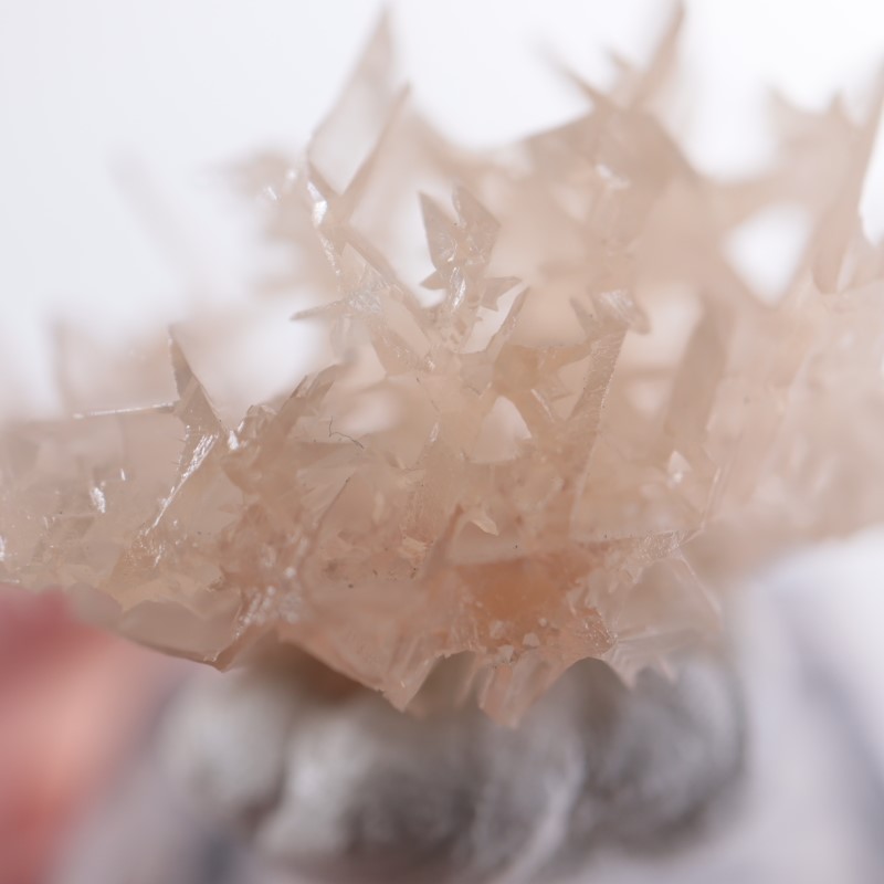 イラン産 セルサイト（白鉛鉱） | 鉱物標本,サ行,セルサイト/白鉛鉱