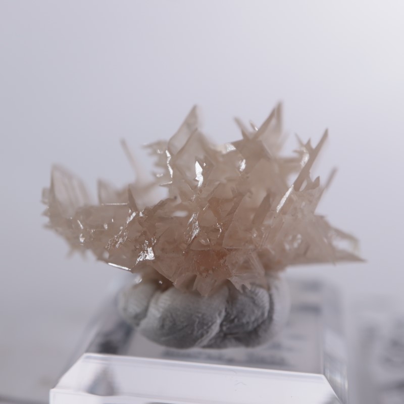 セルサイト スノーフレーク イラン産 鉱物標本 スノーフレークセルサイト 白鉛鉱 原石 鉱物 標本 イラン