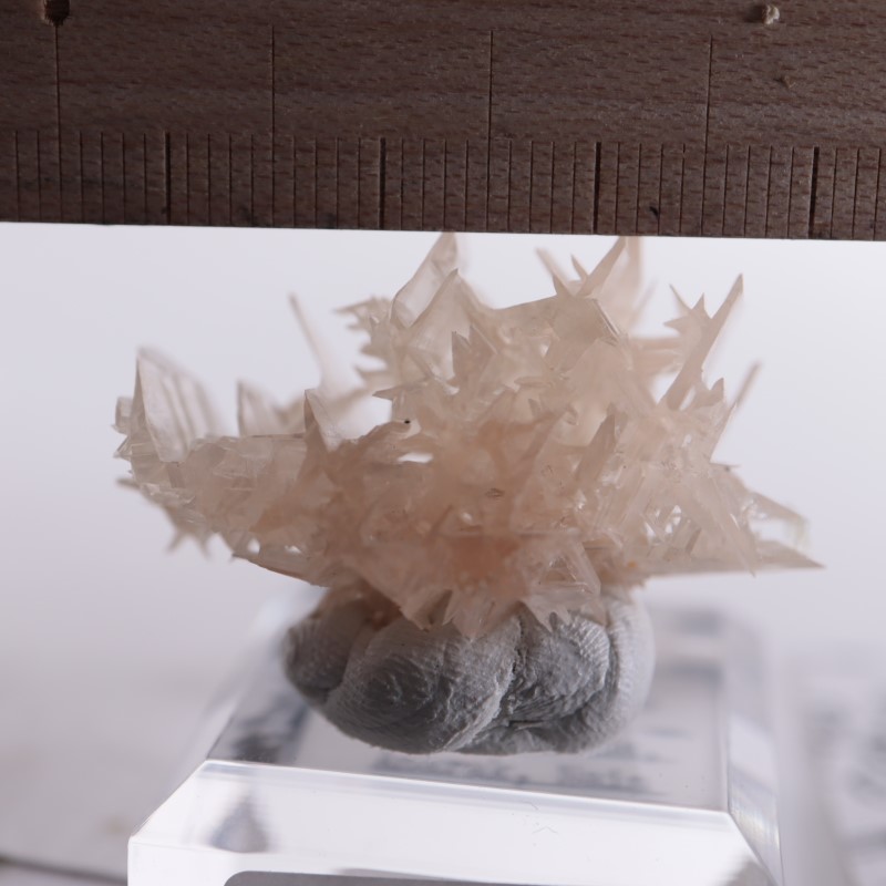 イラン産 セルサイト（白鉛鉱） | 鉱物標本,サ行,セルサイト/白鉛鉱