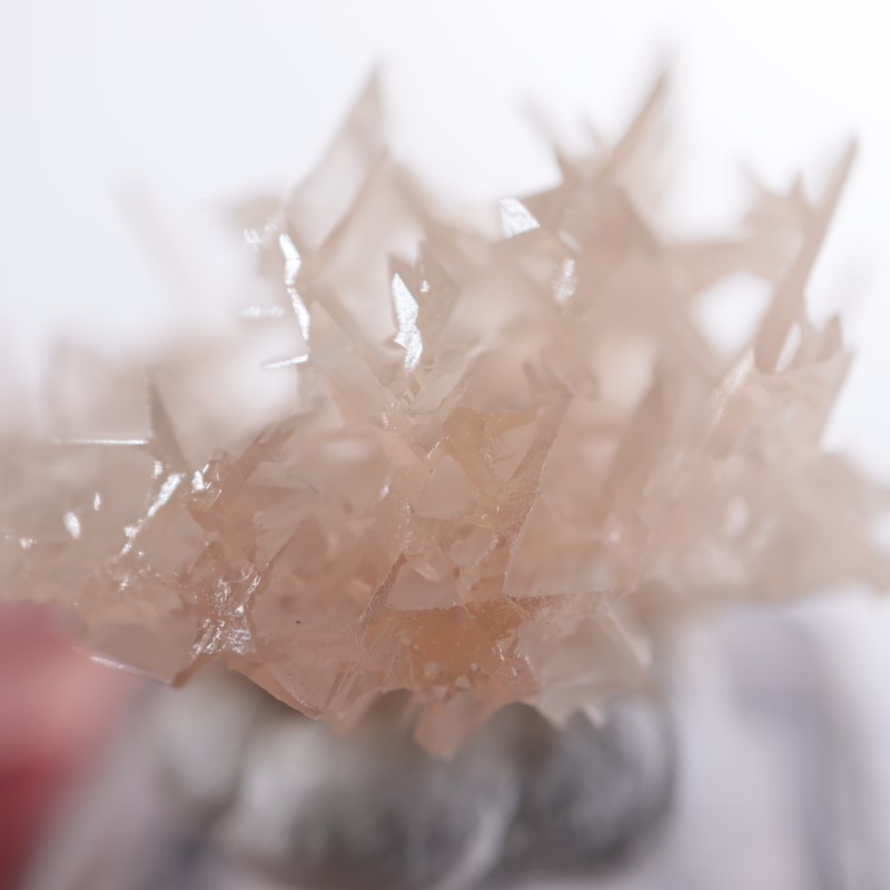 イラン産 セルサイト（白鉛鉱） | 鉱物標本,サ行,セルサイト/白鉛鉱