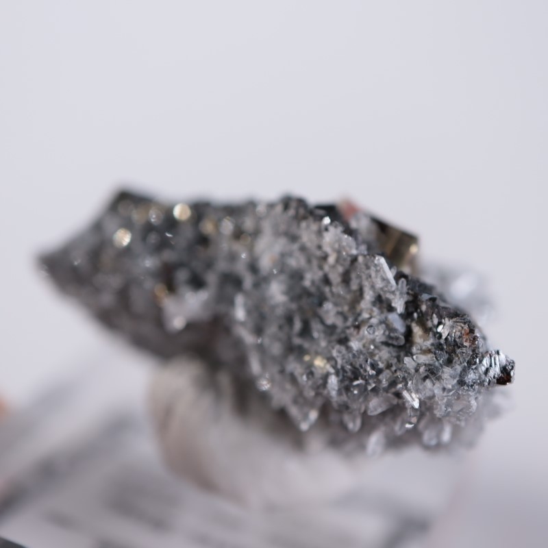 �֥륬�ꥢ�����ѥ��饤�ȡ��徽