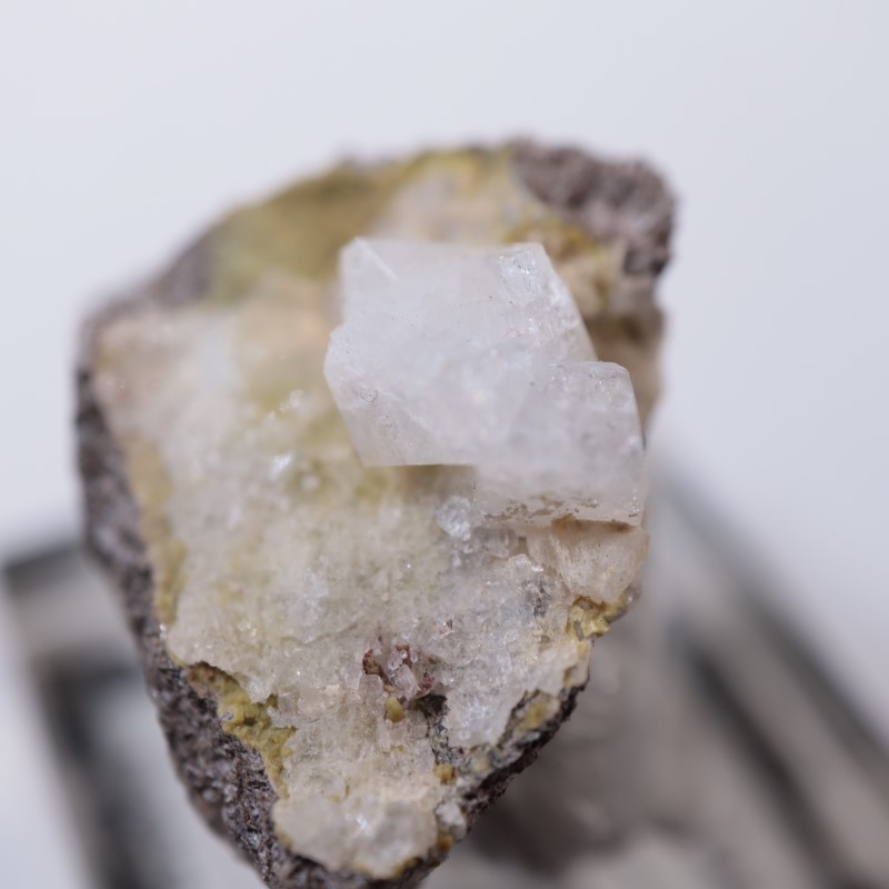 ��������ɻ���ɩʨ��