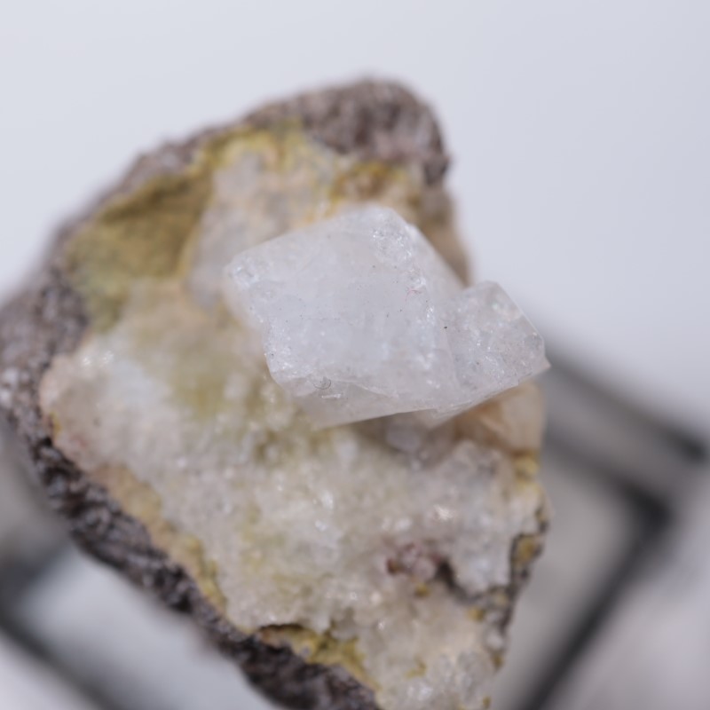 ��������ɻ���ɩʨ��