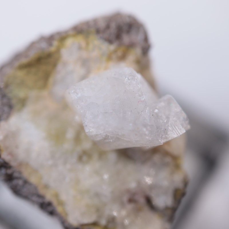 ��������ɻ���ɩʨ��