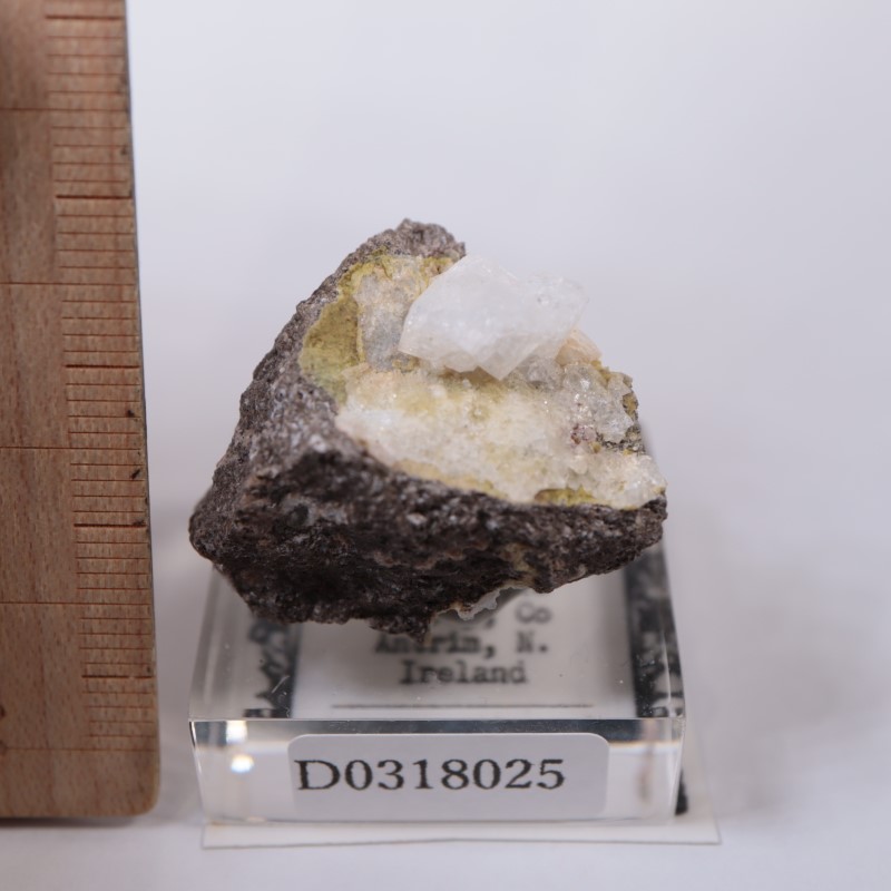 ��������ɻ���ɩʨ��