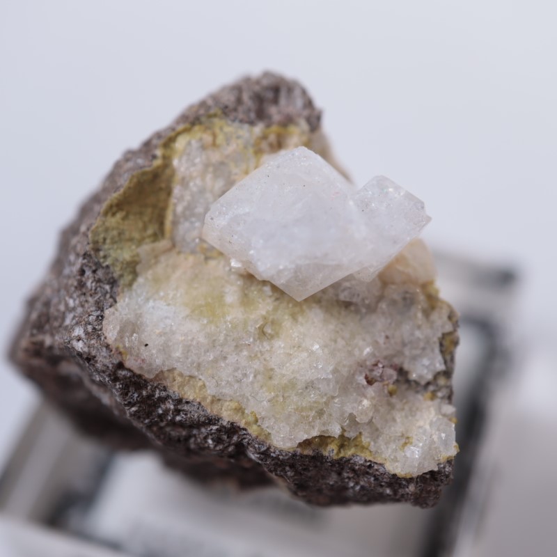 ��������ɻ���ɩʨ��