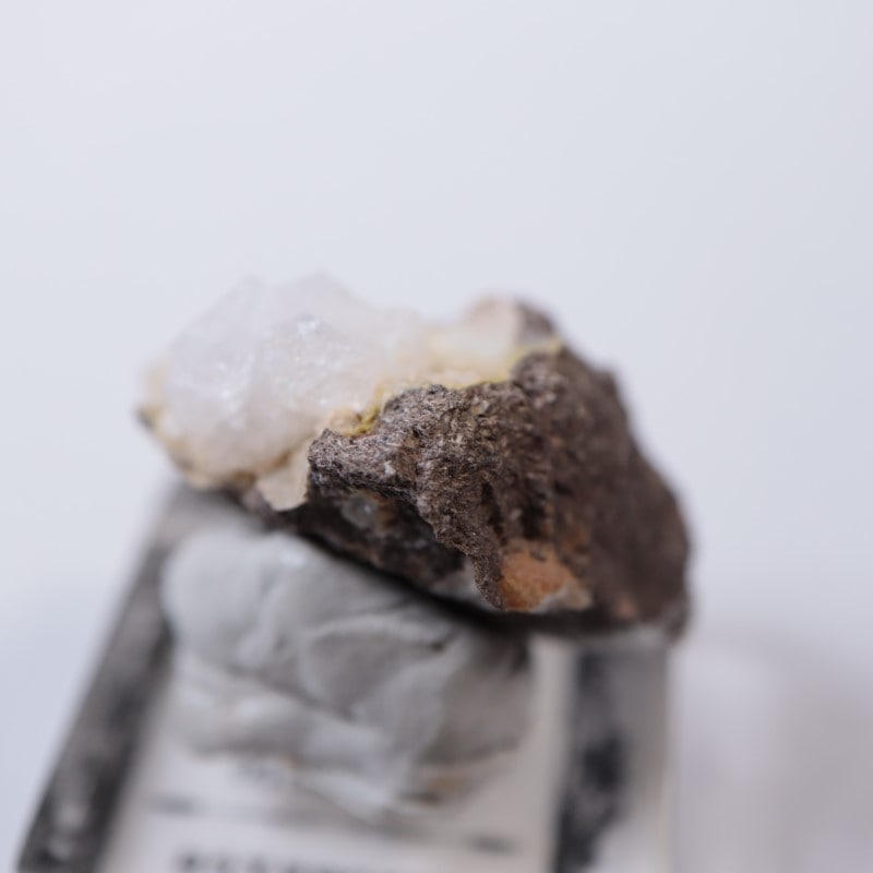 ��������ɻ���ɩʨ��