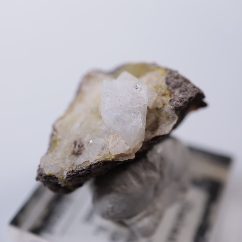 ��������ɻ���ɩʨ��