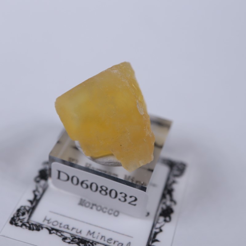 El Hammam�ۻ����ե����饤��