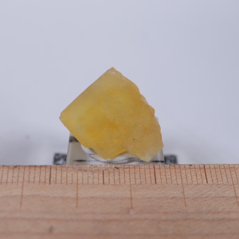 El Hammam�ۻ����ե����饤��