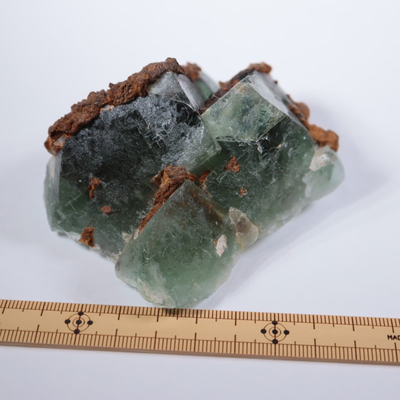 El Hammam�ۻ����ե����饤��