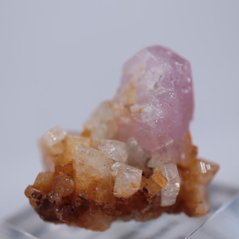 ������ӥ������ԥ󥯥��ѥ�����