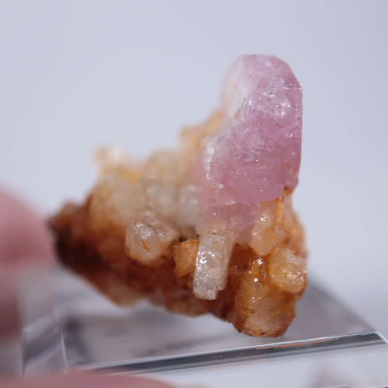 コロンビア産 ピンクアパタイト | 鉱物標本,ア行,アパタイト