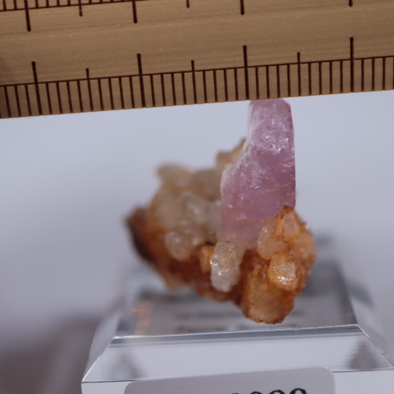 ������ӥ������ԥ󥯥��ѥ�����