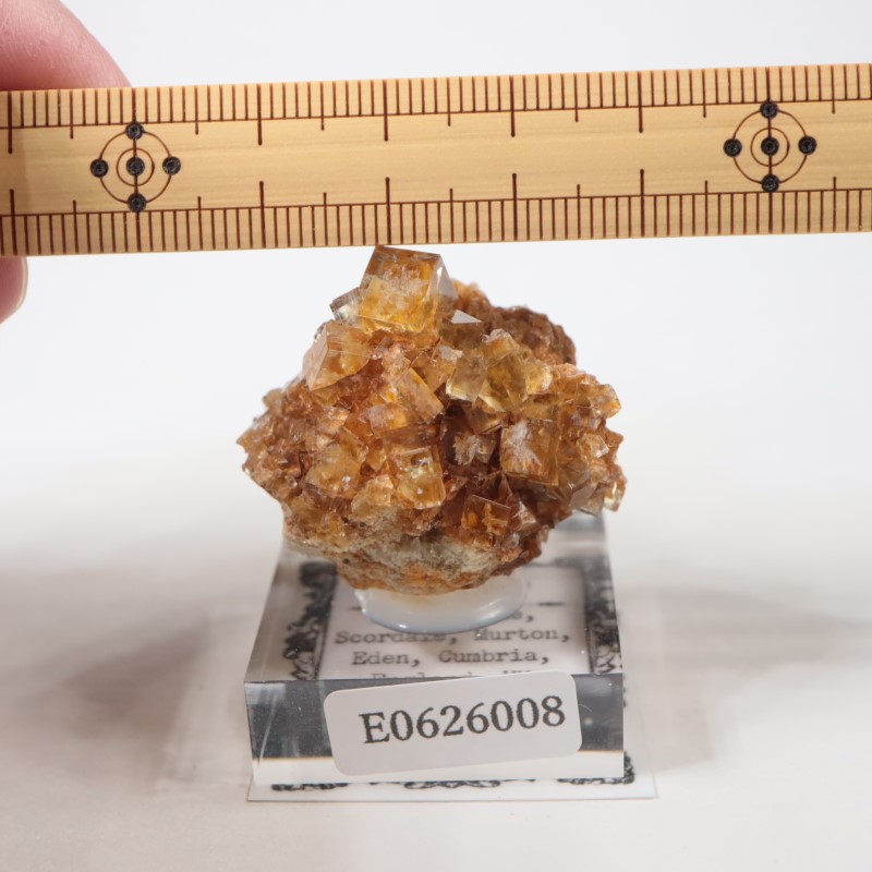 ヒルトン鉱山 フローライト | 鉱物標本,ハ行,フローライト/蛍石,フロー