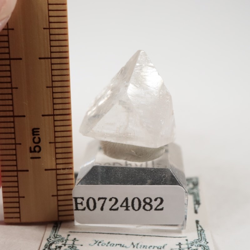 ����ɻ������ݥե��饤��