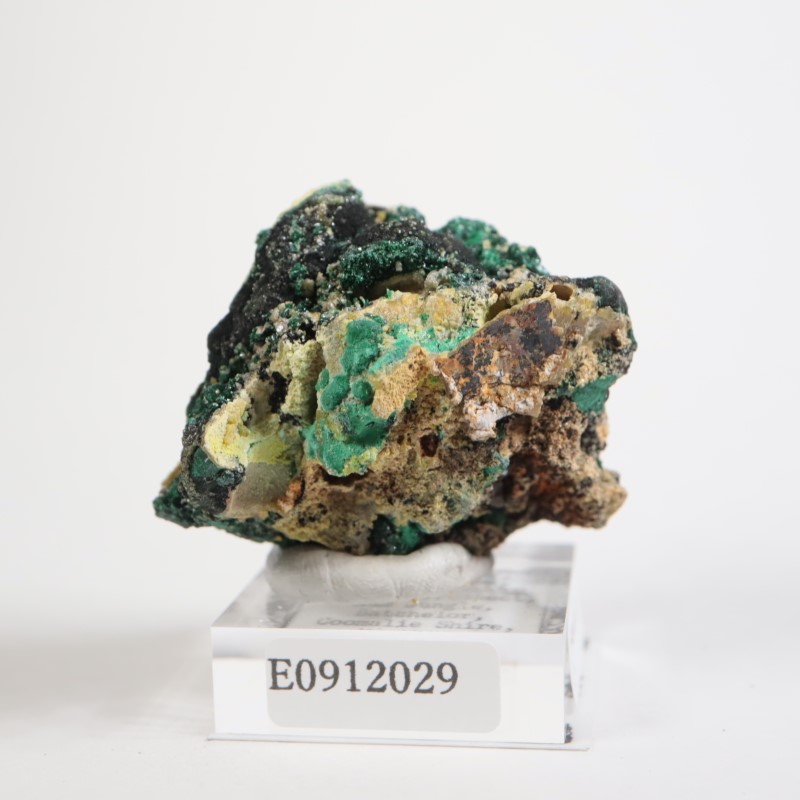 ȥꥢ ޥ饫ȡ륵ȡѥե