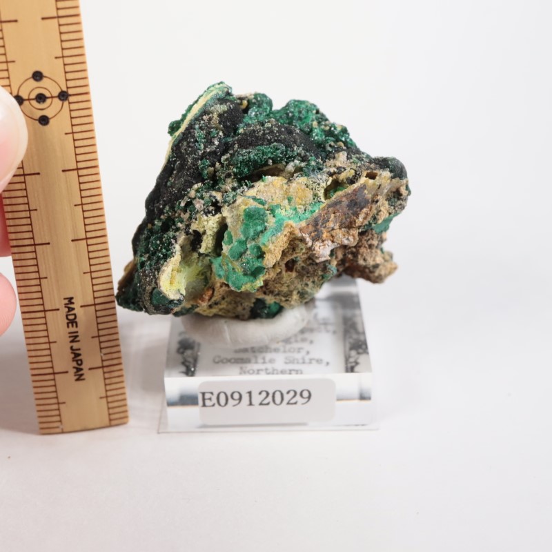 ȥꥢ ޥ饫ȡ륵ȡѥե