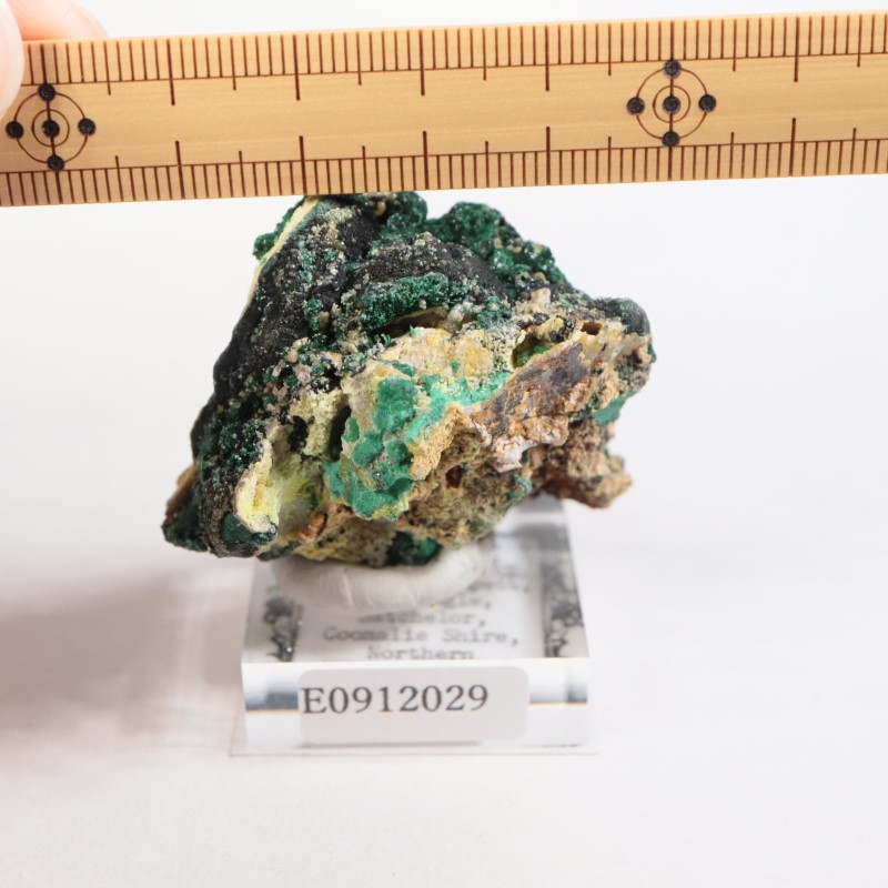 ȥꥢ ޥ饫ȡ륵ȡѥե