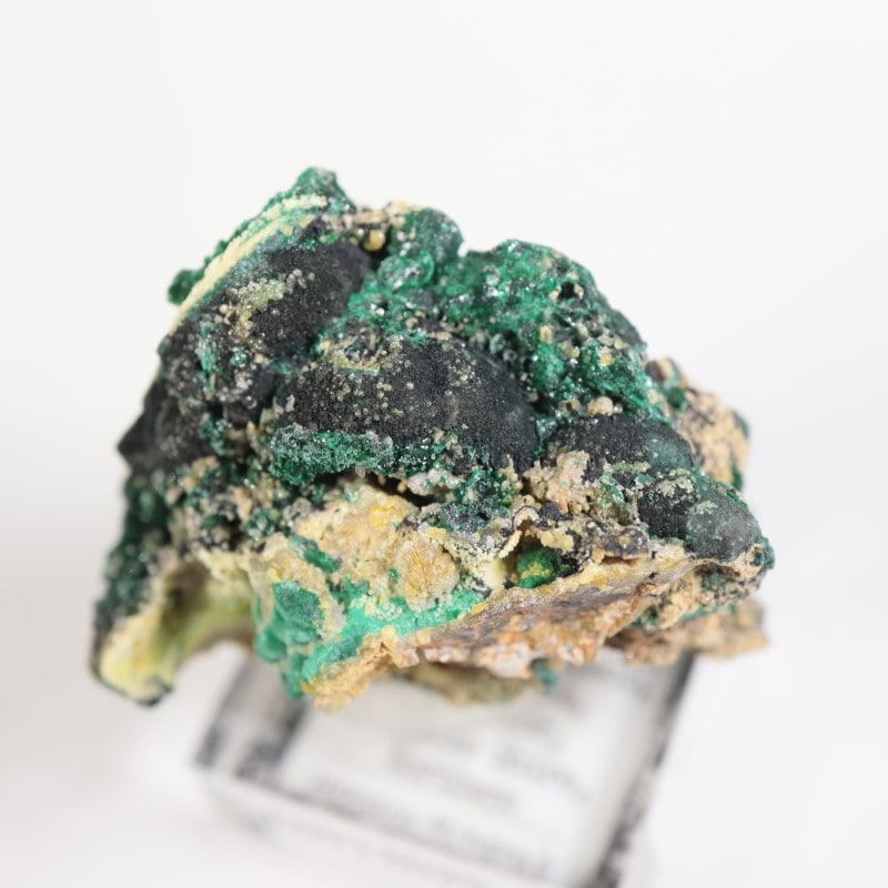 ȥꥢ ޥ饫ȡ륵ȡѥե