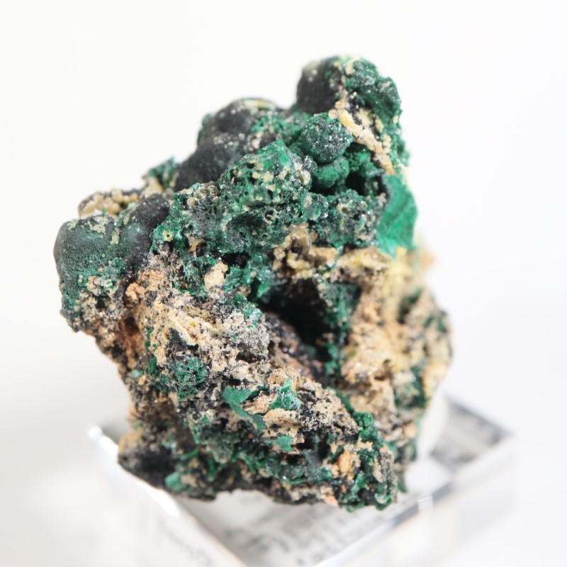 ȥꥢ ޥ饫ȡ륵ȡѥե