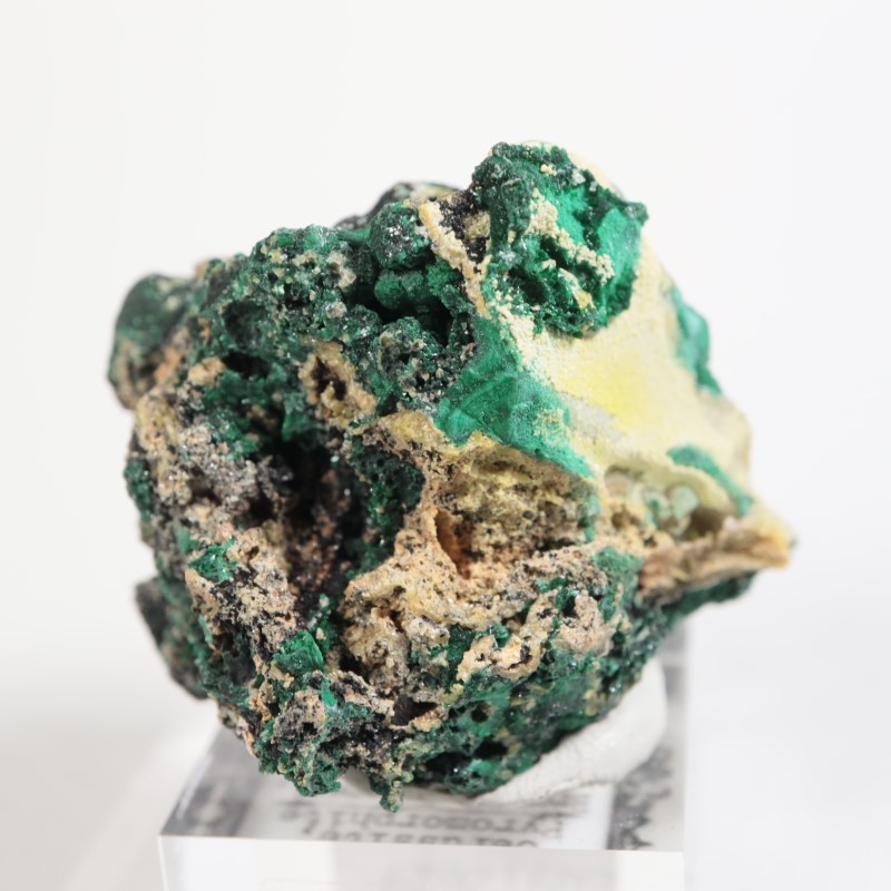 ȥꥢ ޥ饫ȡ륵ȡѥե