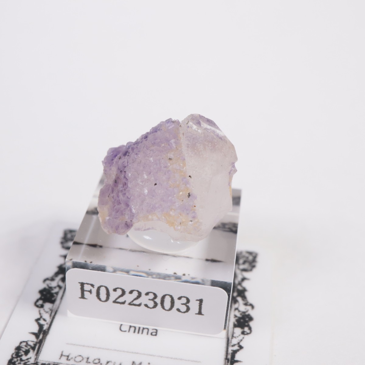 �䥪���󥷥��ۻ��� �ե����饤��