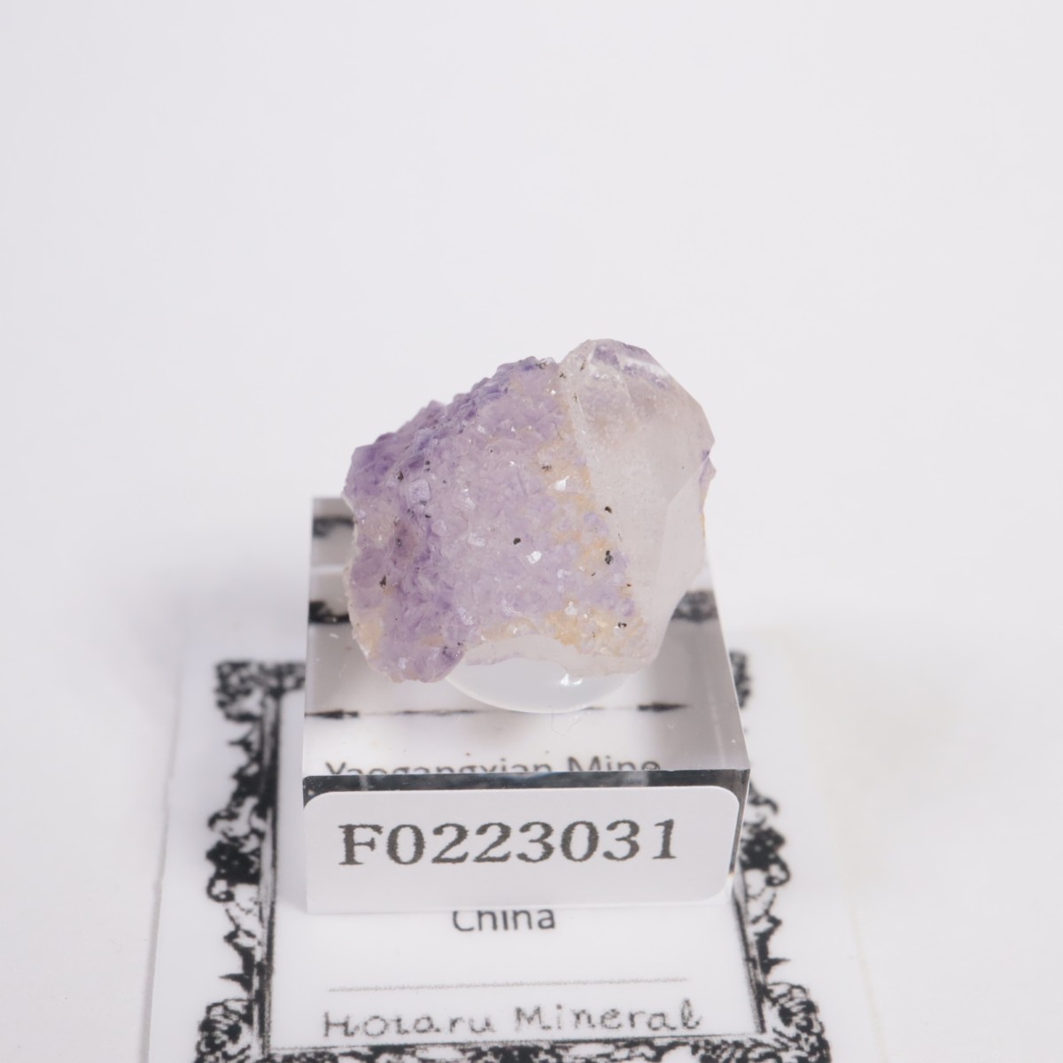 �䥪���󥷥��ۻ��� �ե����饤��