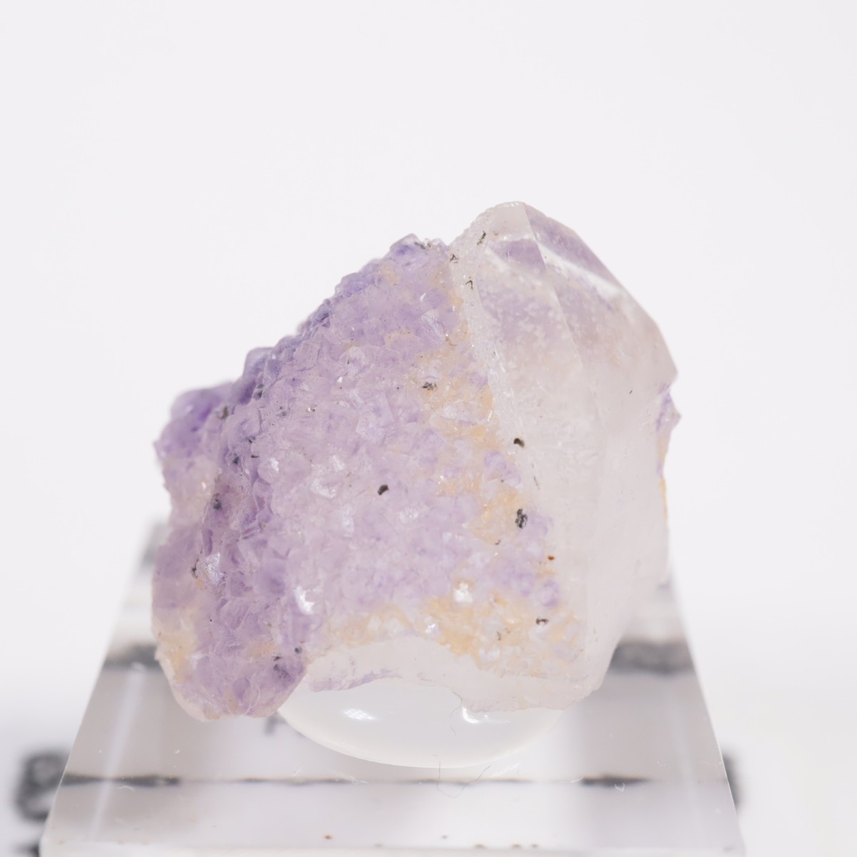 �䥪���󥷥��ۻ��� �ե����饤��