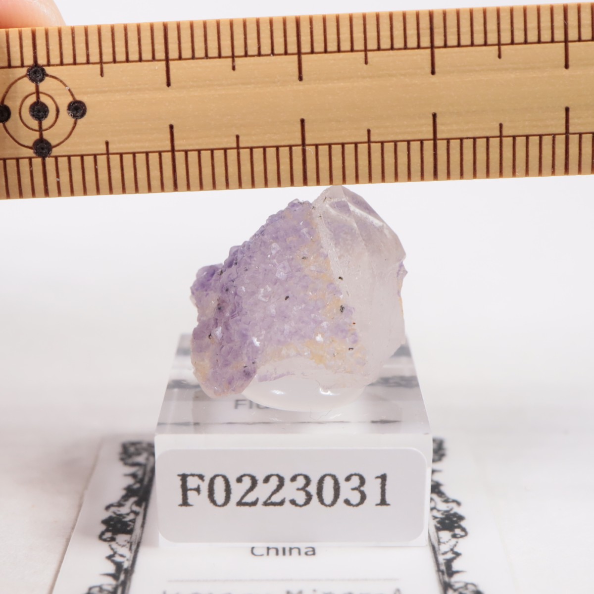 �䥪���󥷥��ۻ��� �ե����饤��